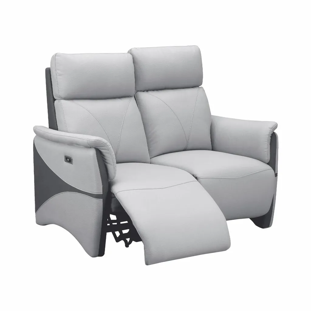 CANAPE 2 PLACES FIXES OU ELECTRIQUES SYMBIOSE