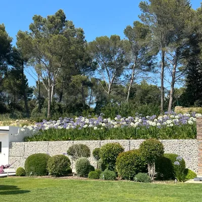 Création de jardin par les experts de Carré Vert, à proximité de Salon-de-Provence 13300, dans les Bouches-du-Rhône.
