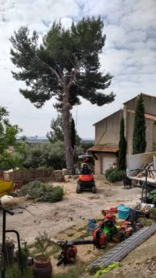 Les conseils de paysagistes pour préparer votre jardin en automne à Ventabren Fleurs du jardin et arbres et arbustes   Les conseils de paysagistes pour préparer votre jardin en automne à Ventabren Fleurs du jardin et arbres et arbustes