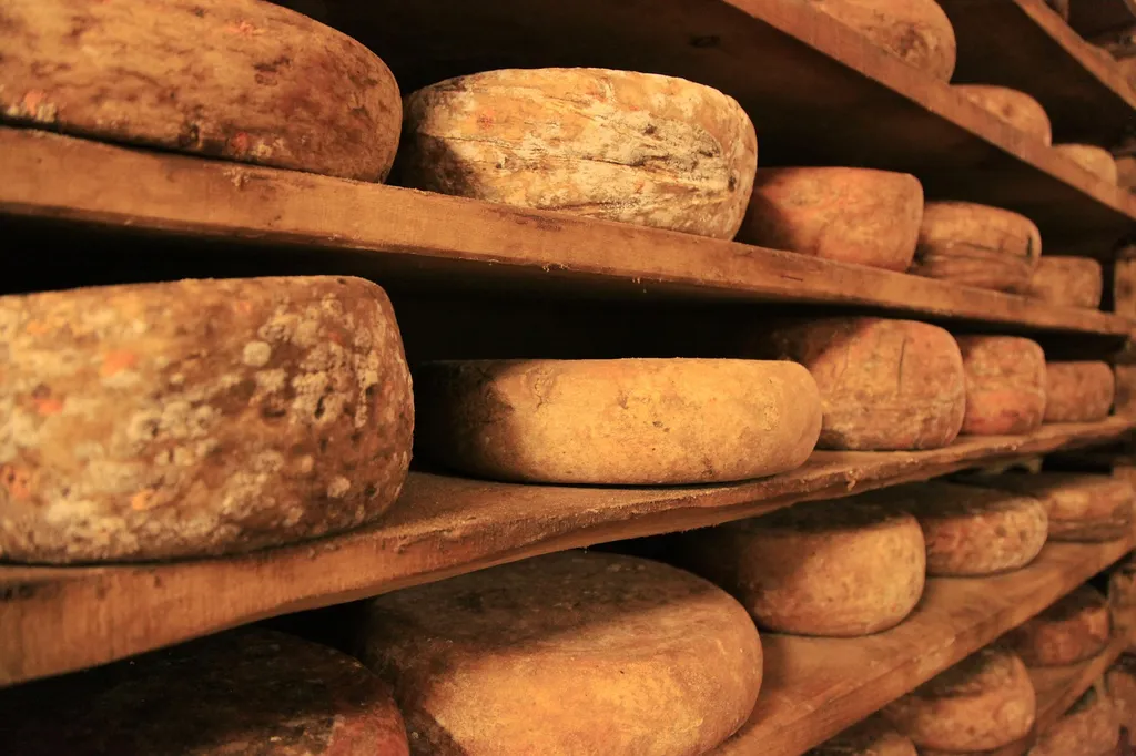 fromages bio aop