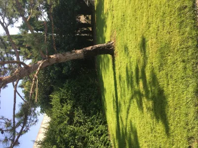 Tonte  de pelouse chez un particulier