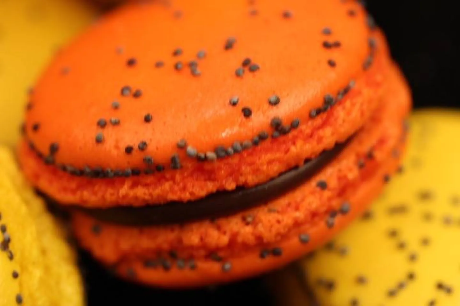 macaron café,villefranche sur saône