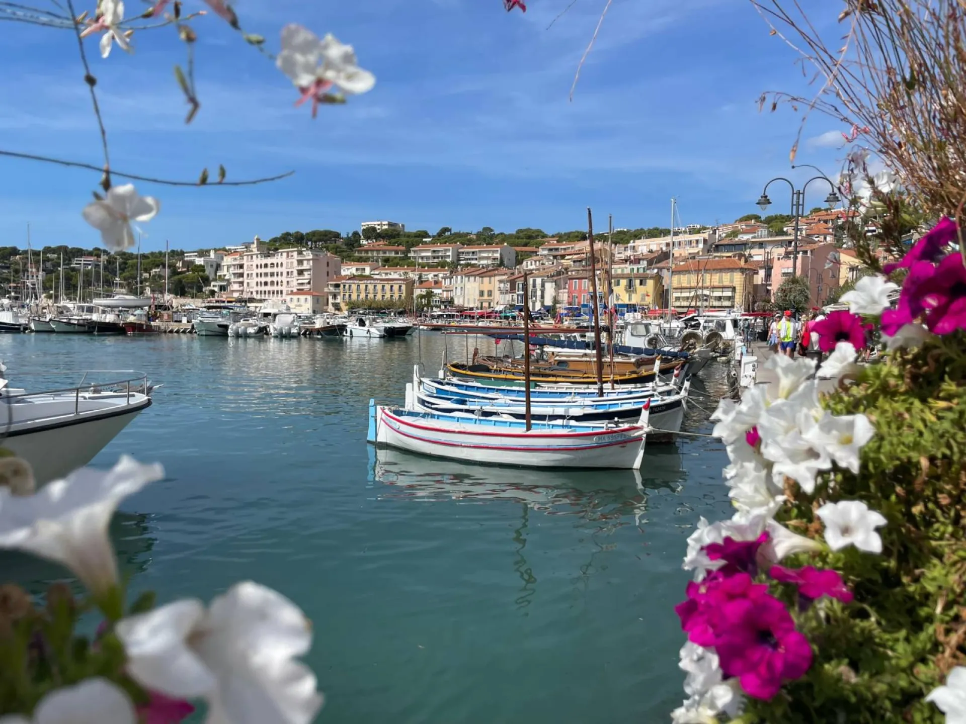 Taxi visite  guidée Cassis
