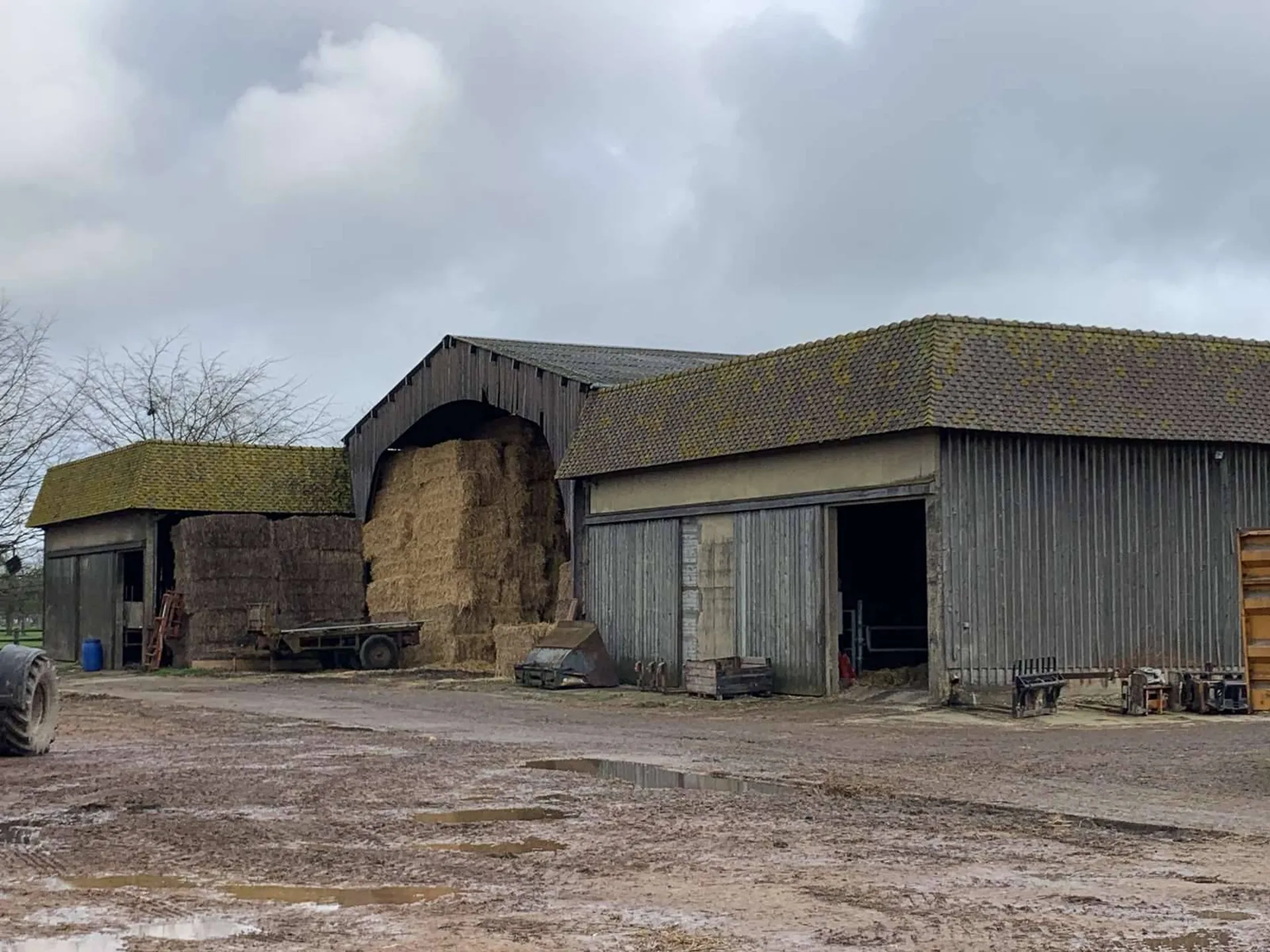 A VENDRE dans le PAYS D'AUGE DU CALVADOS, une exploitation agricole de 167 ha d'un seul tenant, plat, et terres de bonne qualité.