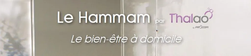 Hamman par Aquarev'Piscines à Vinon sur Verdon 83560