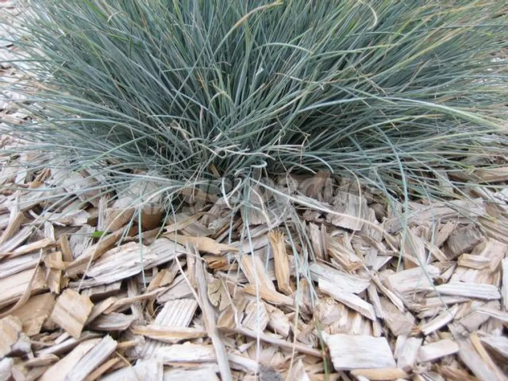 Notre zone d'activité pour ce serviceInstallation de terrasse en bois sur-mesure