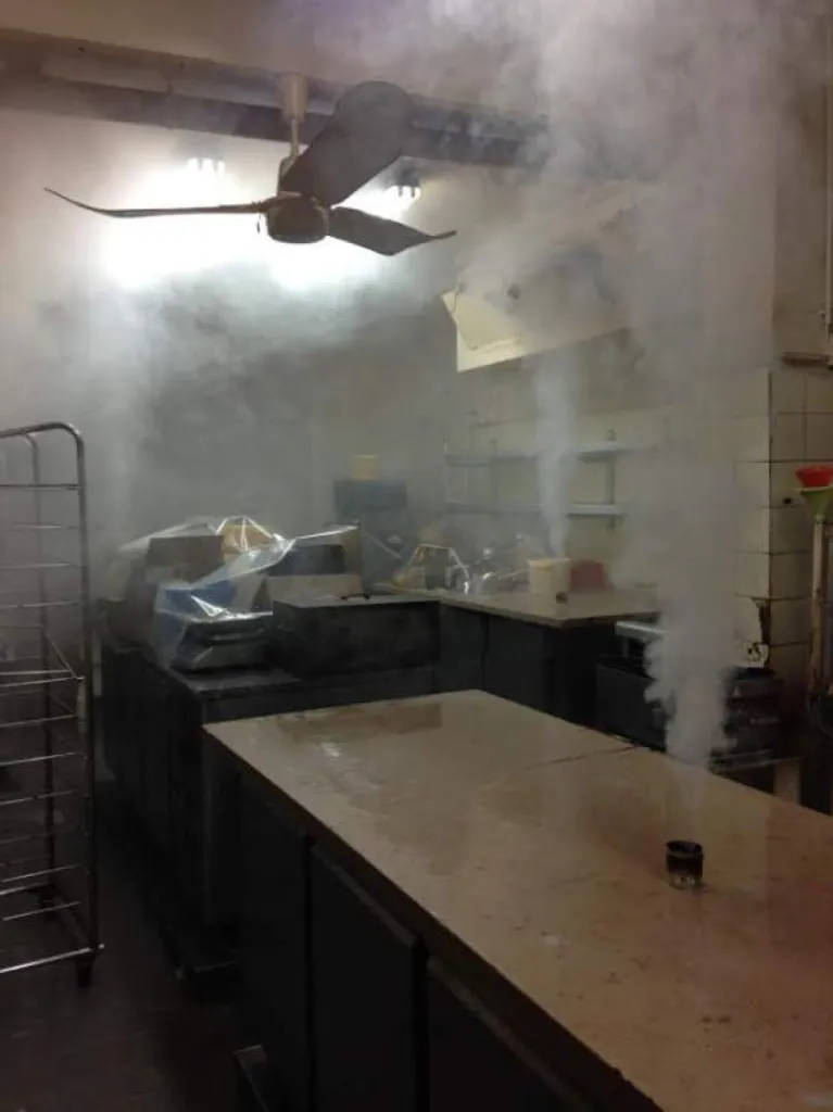 fumigation contre les cafards à marseille 13