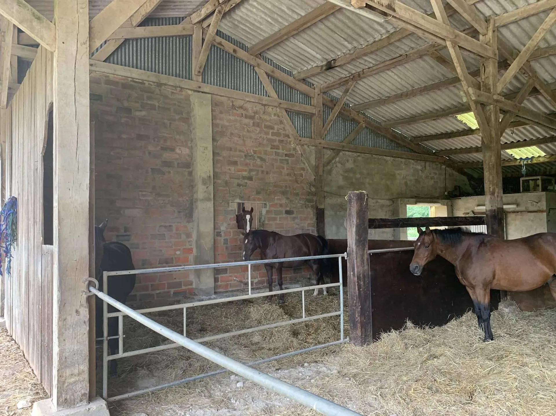 Vente d'une Propriété de 5ha 60a avec maison et bâtiments agricoles, dans la Région de VIMOUTIERS 61120