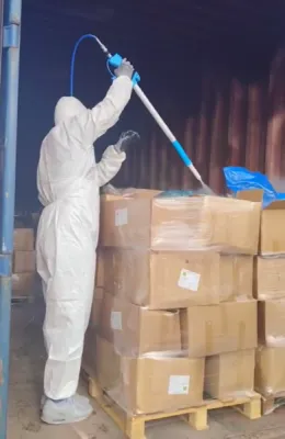 Traitement naturel d’une invasion de charançons par cryogénie à Lyon et sa région