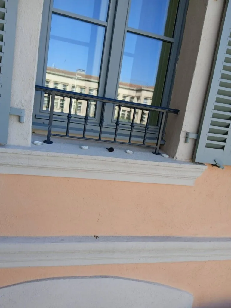coupelle de gel bird free anti pigeon miramas