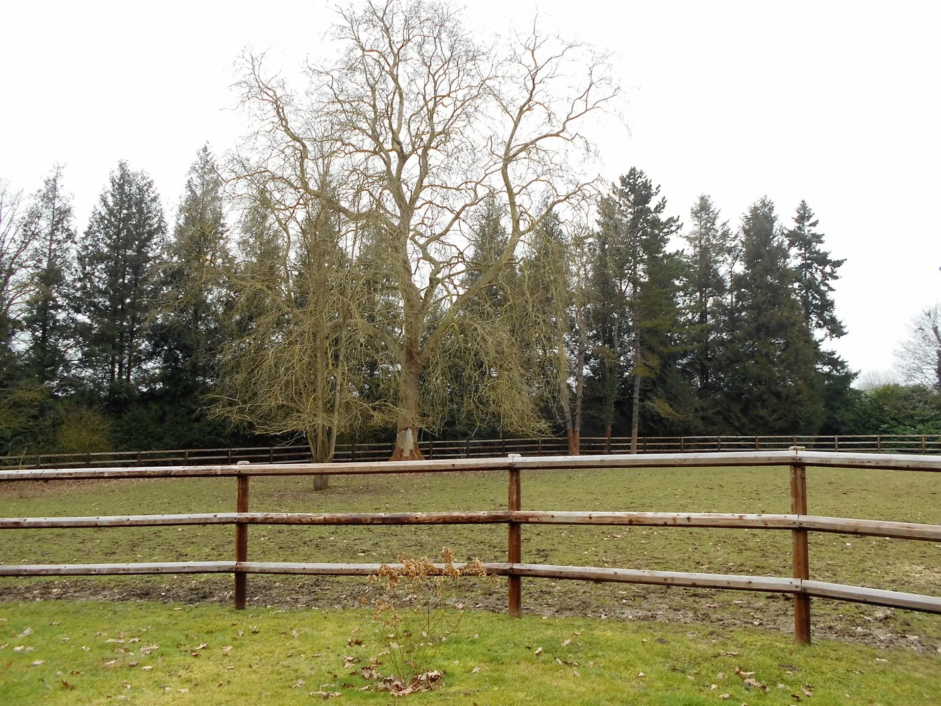 PROPRIETE BOURGEOISE DU XVIIIème siècle Vallée de la Risle, Eure 27