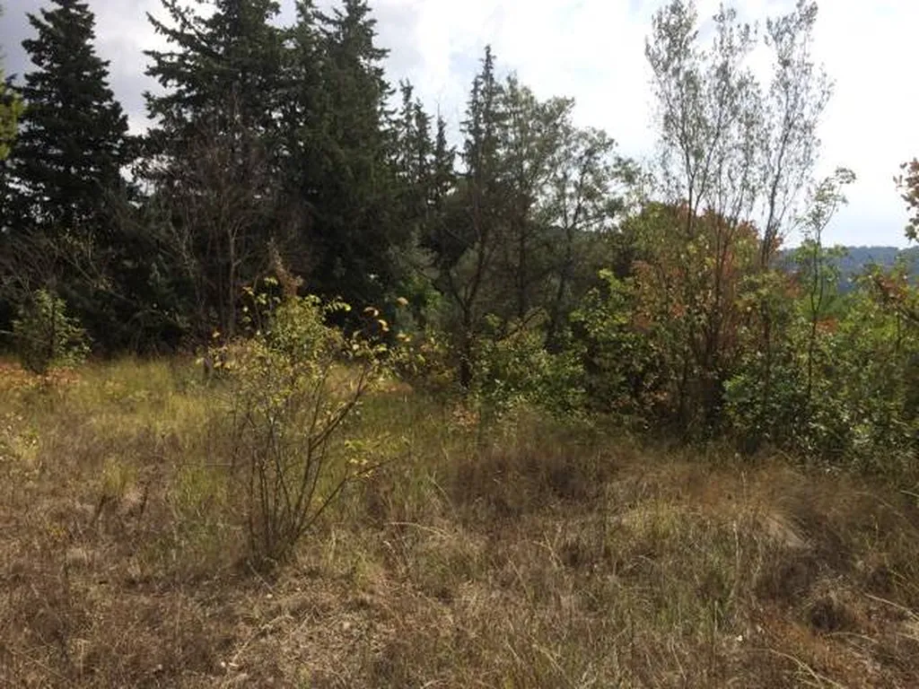 Notre zone d'activité pour ce serviceRecherche terrain abandonné à vendre à proximité de