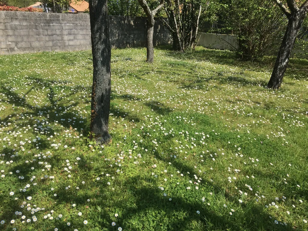 Pourquoi repenser son jardin aujourd’hui vers plus de naturel ?