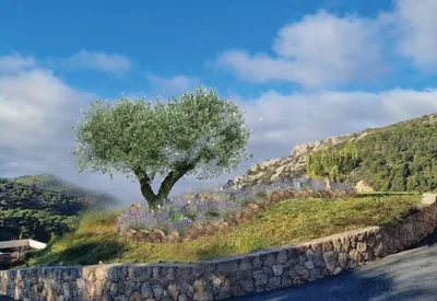 Photomontage à Nice pour jardin