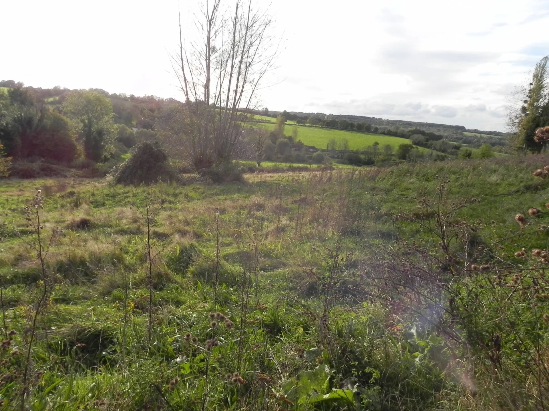 Acquisition de terrain agricole d'une surface de 2ha 90a, entre Livarot 14140 et Saint Pierre Sur Dives 14170.