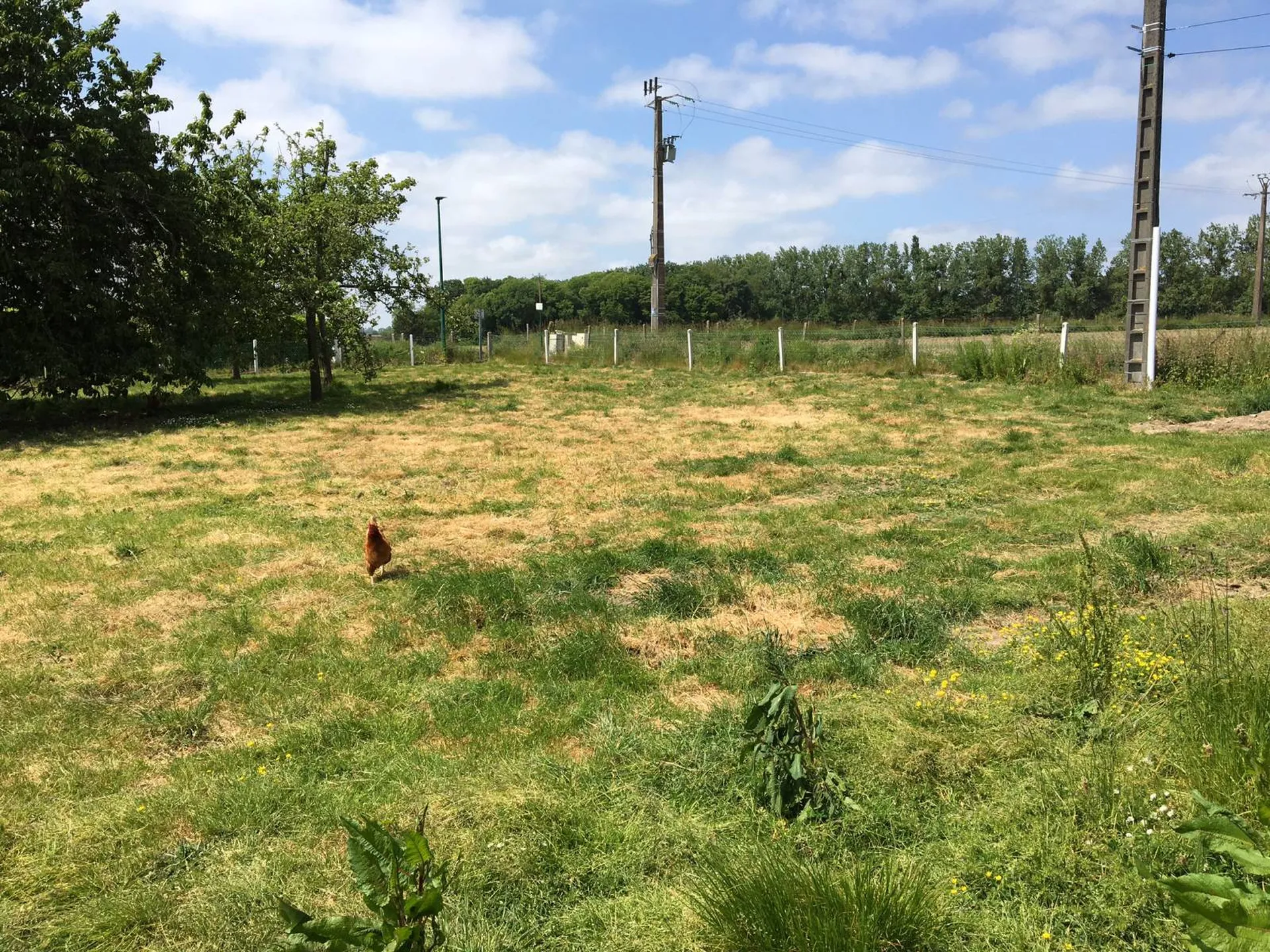 A vendre, beau terrain à bâtir, situé sur l'axe Caudebec en Caux / Yvetot