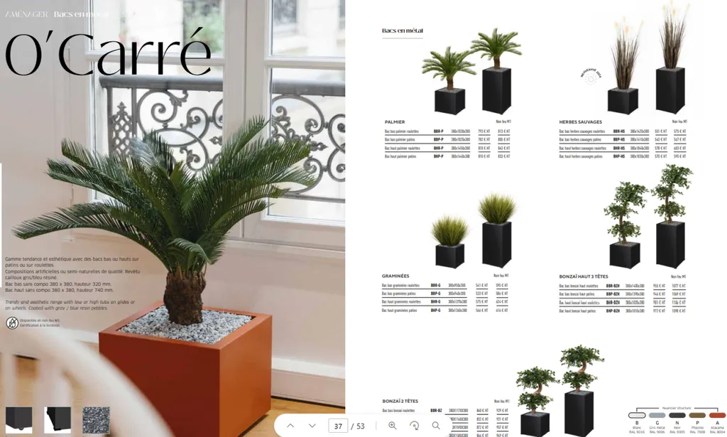 Plantes Design  pour bureaux 