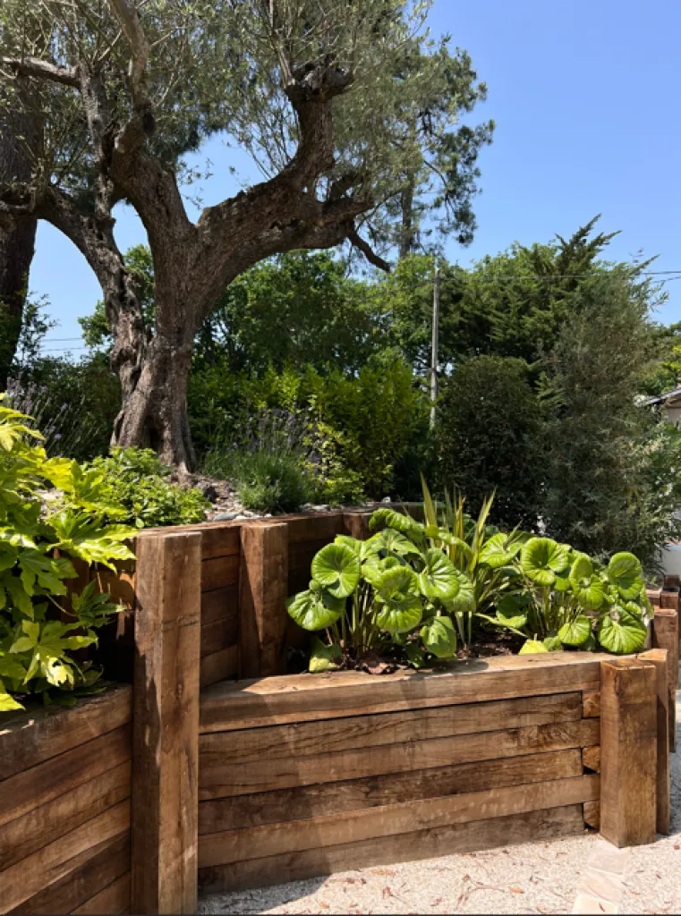 Conception, création et entretien de parcs et jardins, Les Paysages d'Antoine paysagiste à la Teste-de-Buch