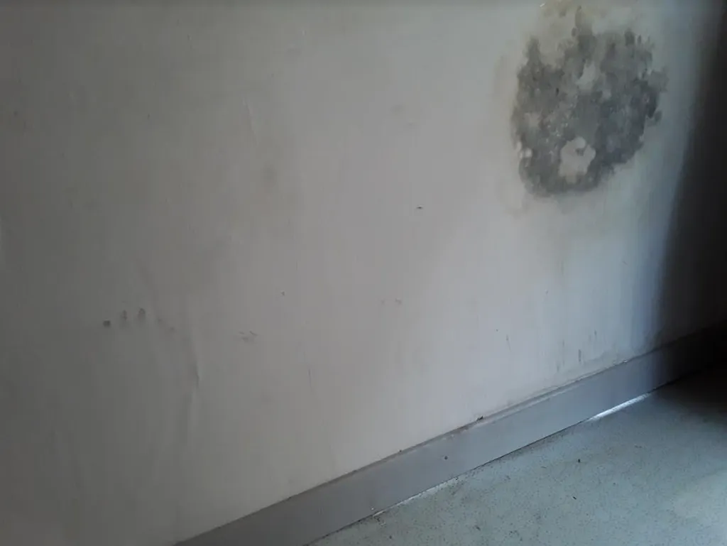 Assèchement des murs à Uzès (30 700)