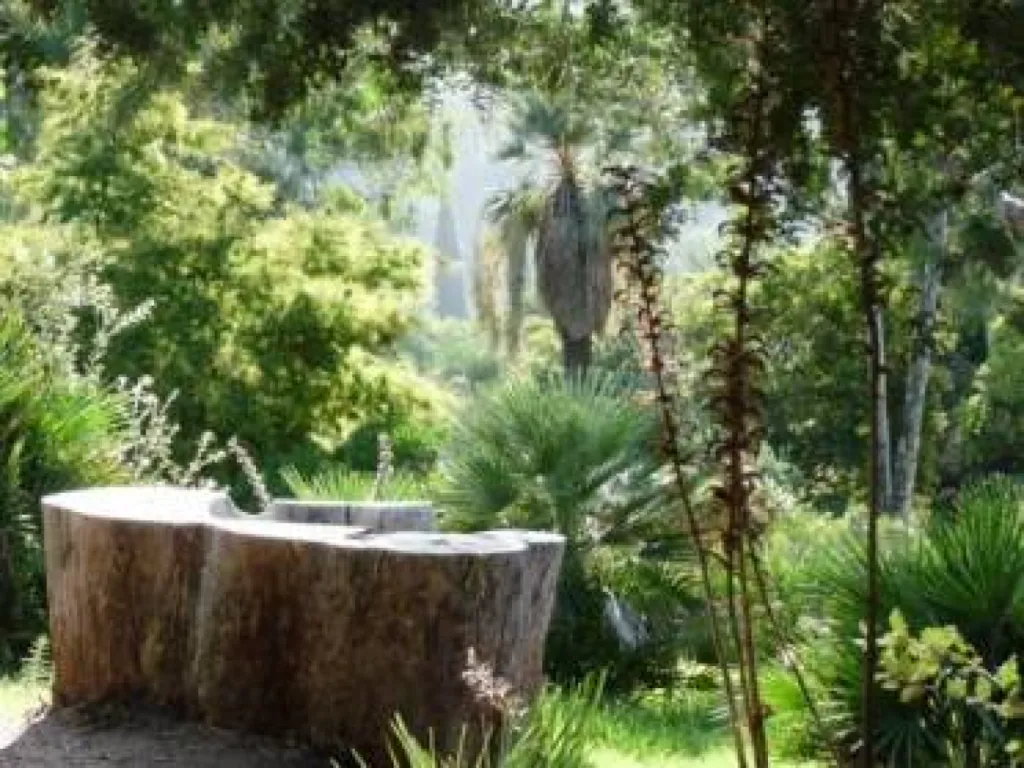 par botanique PACA