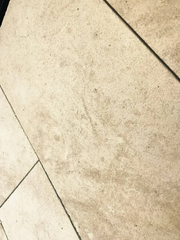 Dallage pierre naturelle à PARIS