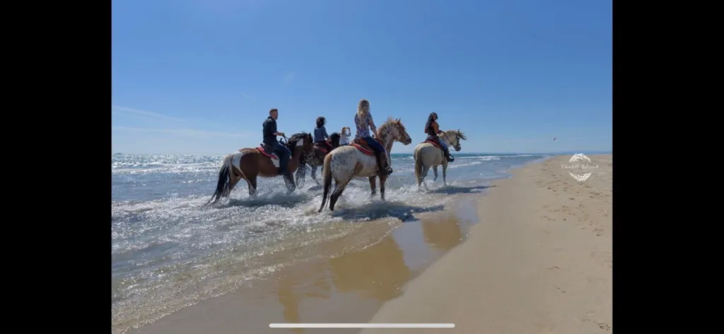 balade cheval bord de mer POrt camargues