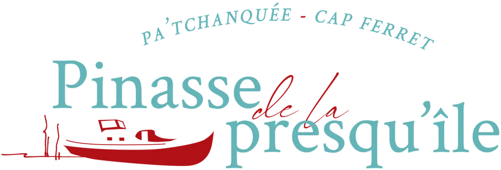 Balade en pinasse sur le Bassin d'Arcachon