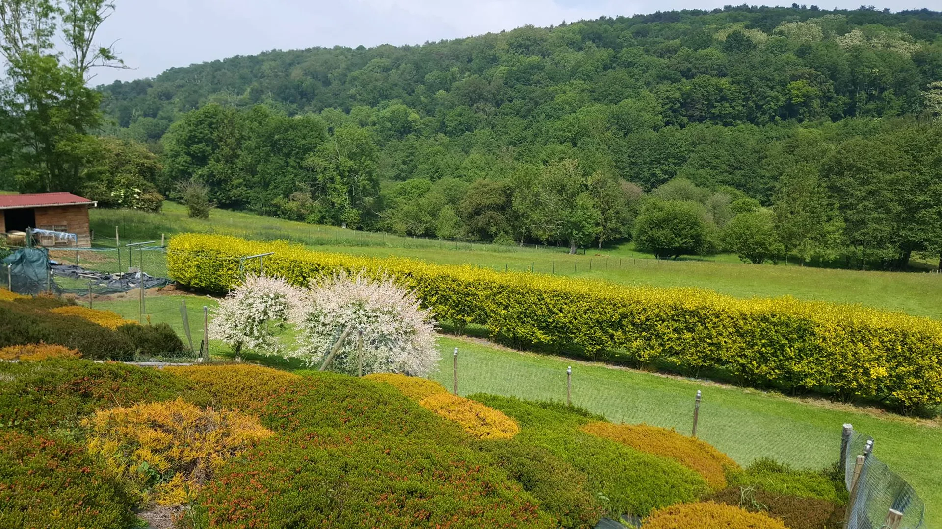En vente, maison de charme beaucoup de terrain à 25 minutes de Bernay