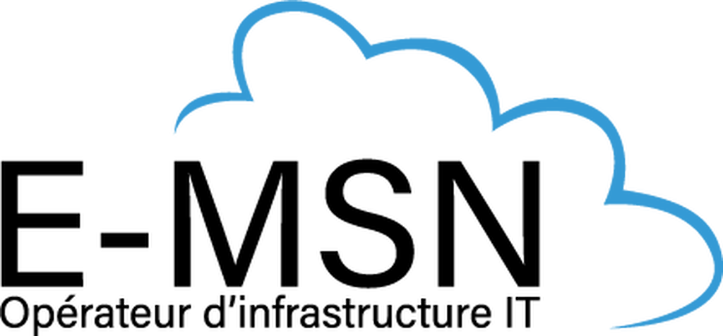 Fournisseur de solutions informatiques FRANCE E-MSN