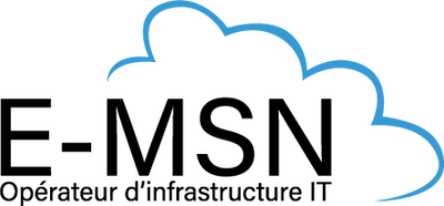 Fournisseur de solutions informatiques FRANCE E-MSN