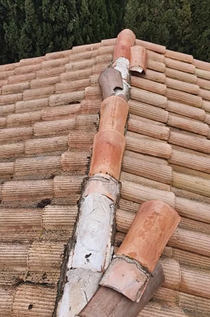 Faîtage déplacé sur Lons