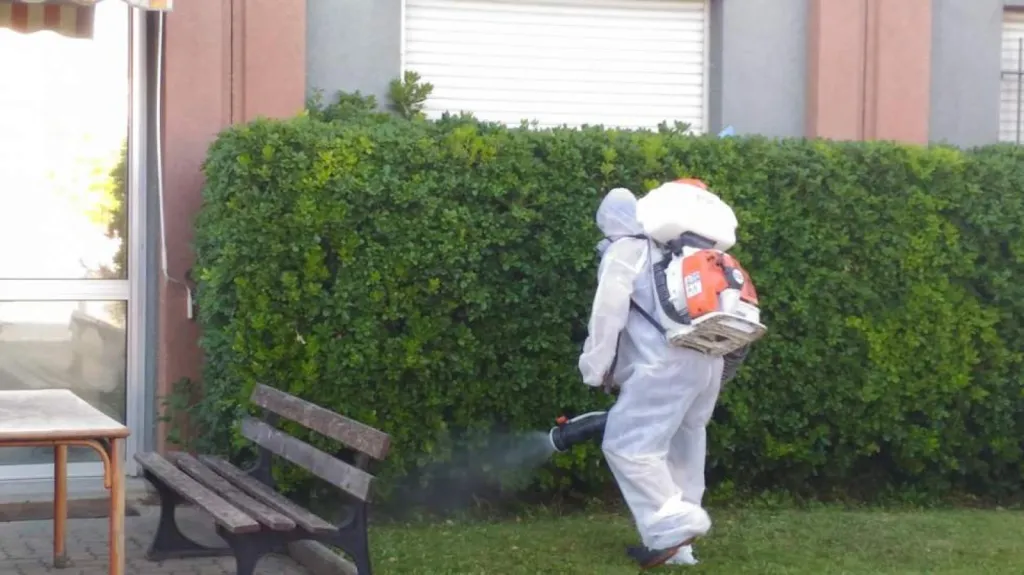 intervention moustique velaux 13880