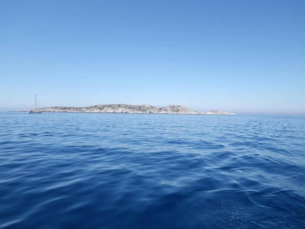 Imprégnez-vous de la Beauté Intacte de l'Île de Jarre avec L'Eden Boat : Des Excursions Enchantées au Départ de La Ciotat et Cassis