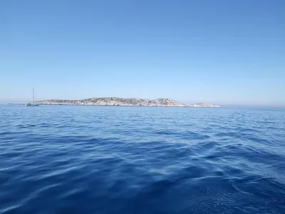 Imprégnez-vous de la Beauté Intacte de l'Île de Jarre avec L'Eden Boat : Des Excursions Enchantées au Départ de La Ciotat et Cassis