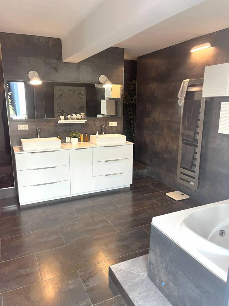 Vendu Exceptionnel Loft avec terrasse - Troyes (Aube)  