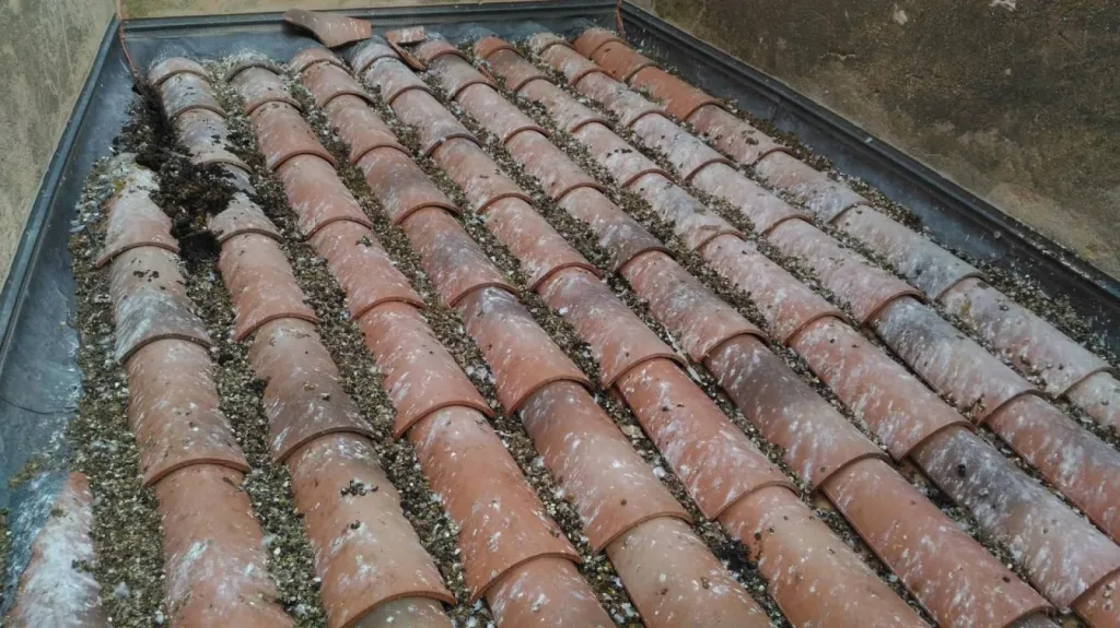 merde de pigeon sur un toit de maire à grans