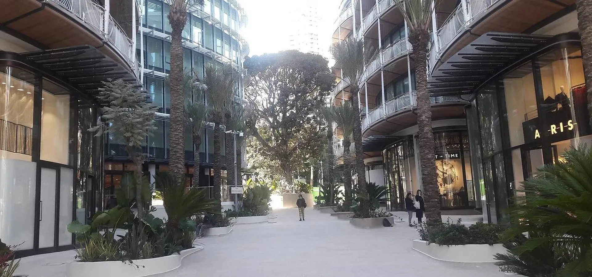 Le parvis avec plantations exotiques à Monaco
