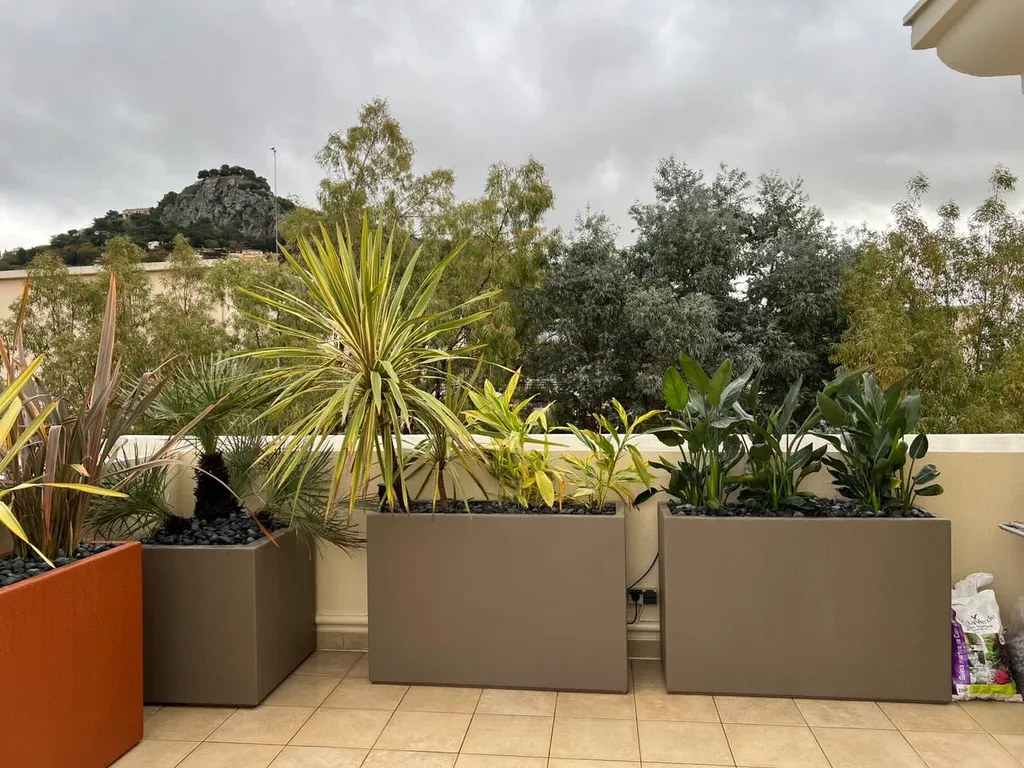 plantation exotique dans les jardinières à La Crau