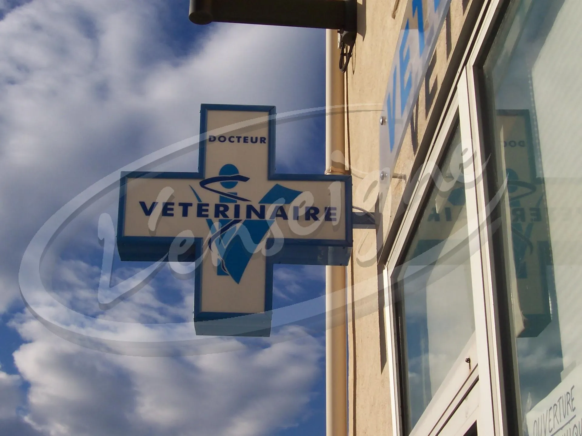 Croix de vétérinaire pas cher marseille