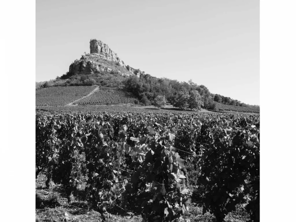 La Roche de Soluté en Bourgogne