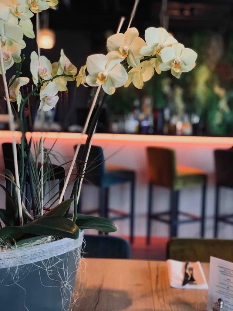 Restaurant pour déjeuner d'affaires, dans une brasserie chic et cosy au cœur de Saint-Priest