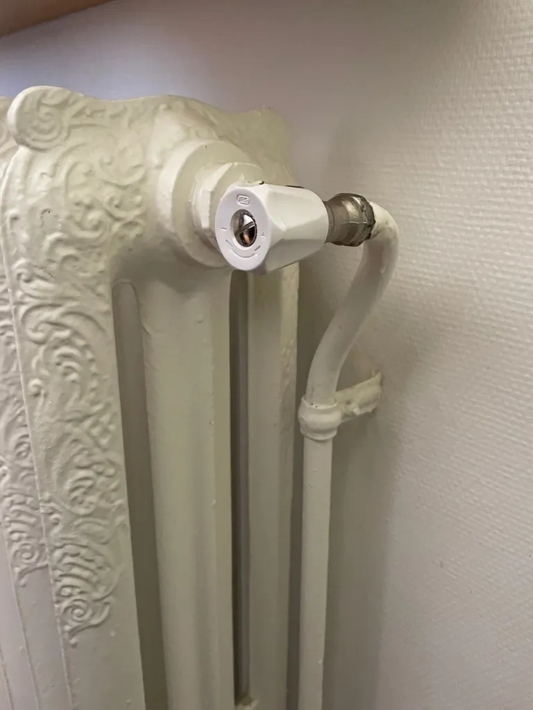 Remplacement d'un robinet de radiateur - robinet qui fuit et ne ferme plus - dépannage chauffage sur Tassin la demie lune 