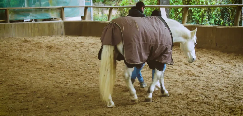Réalisation d'un spot promotionnel pour Hervé Franchesci, Les Carnets d'Eveil, à Fontainebleau