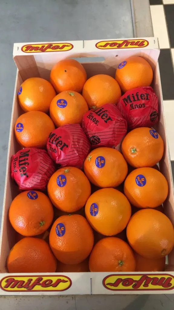 Orange à jus d'Espagne à Ma Ferme proche d'Aix