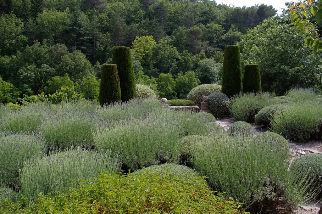 Find a professional gardener to maintain a manucured garden in Cucuron