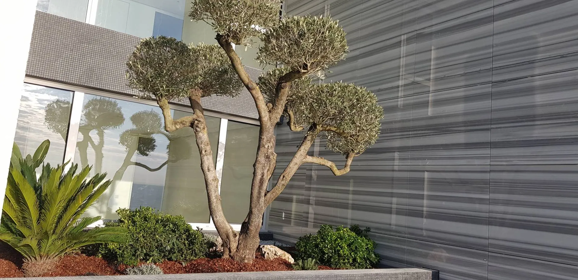 Jardin avec plantations sur toiture à Monaco 