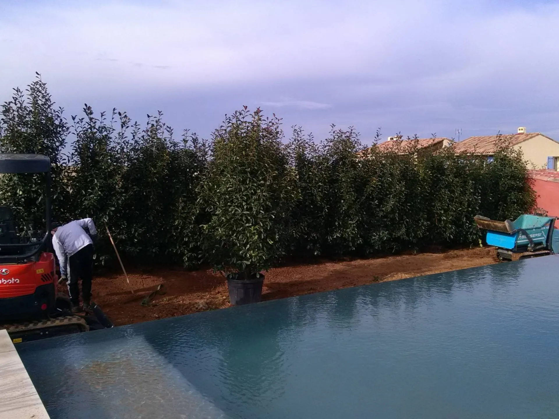 plantation haie persistante les Pennes Mirabeau 13170