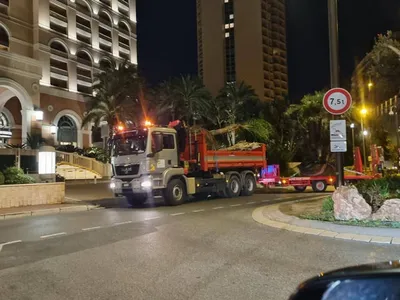 Levage pour transplantation de gros sujets à Monaco