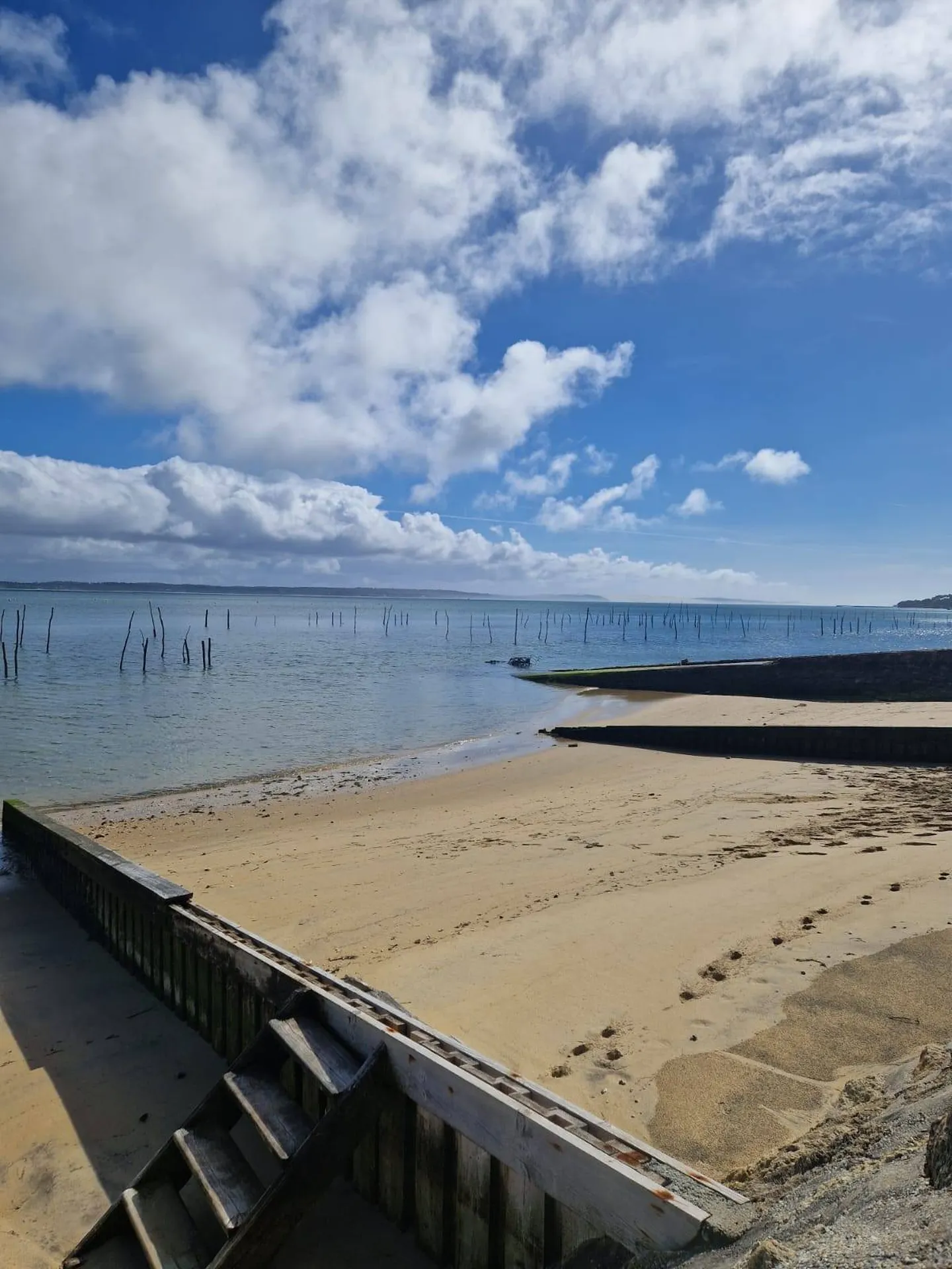 En vacances au Cap Ferret ? C'est l'occasion de faire une balade en bateau sur le Bassin d'Arcachon !