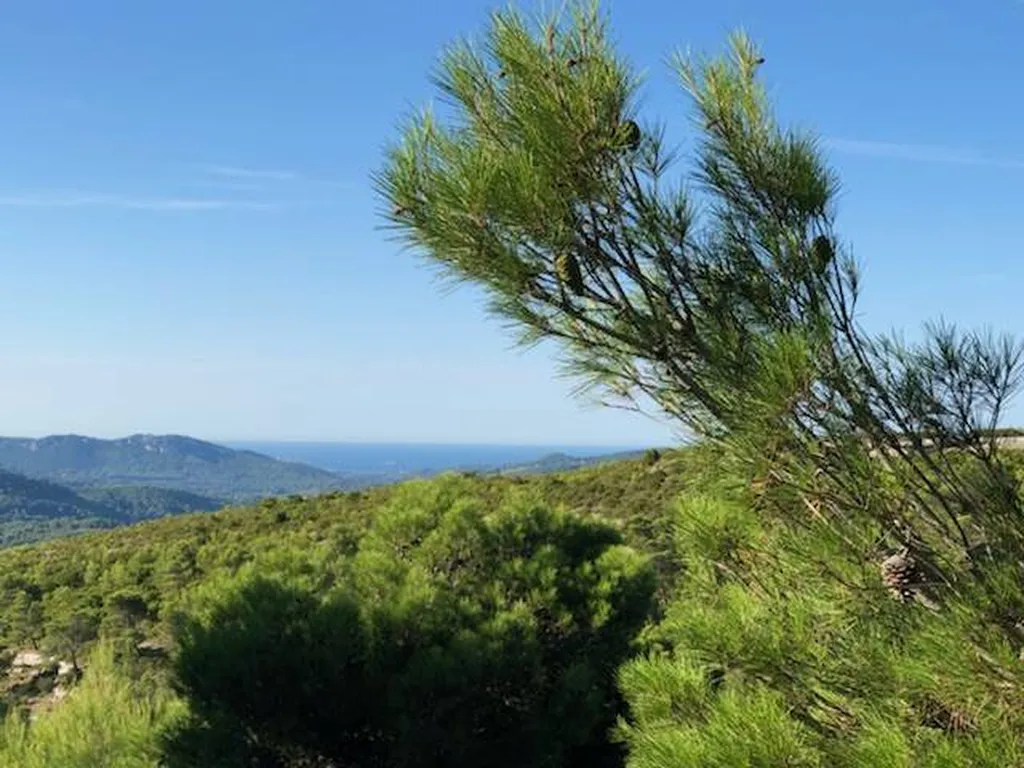 Voyance et Médium par téléphone à Marseille